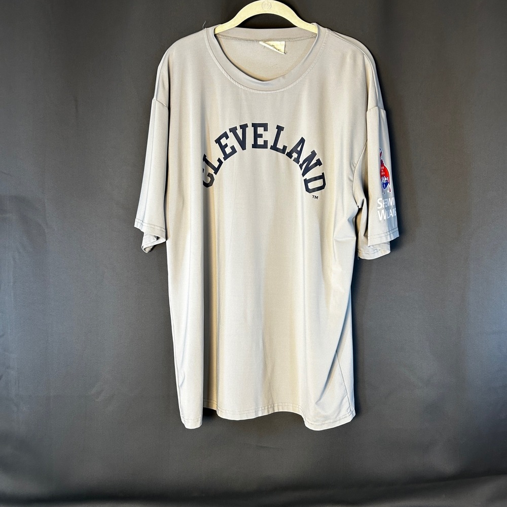 Cleveland Sherwin Williams Mens XL Gray Graphic Tee
